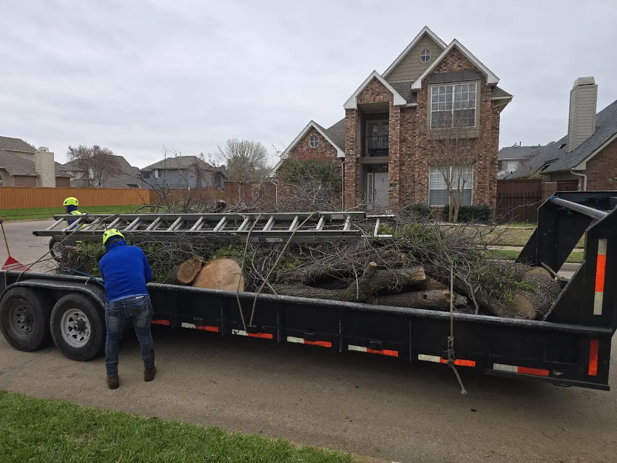 Expert Lot Clearing with proper safety equipment in Havelock